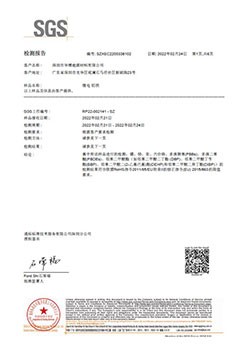 ROHS中文报告（2022）
